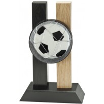 cod. 24.804.11 - Trofeo calcio cm 23