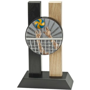 cod. 24.804.22 - Trofeo pallavolo cm 23
