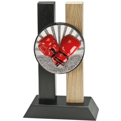 cod. 24.804.31 - Trofeo box pugilato cm 23