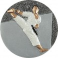 cod. 24.820.21 - Disco in resina mm 70 karate