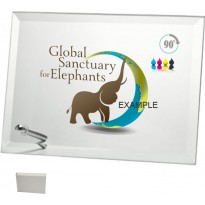 Pack of 6 crystal trophy 19X14