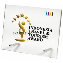 Crystal trophy cm 22x17