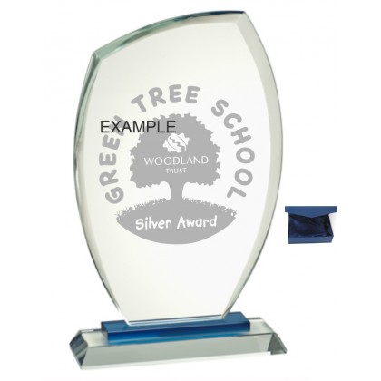 cod. 25.681 - Trofeo cristallo cm 25x15