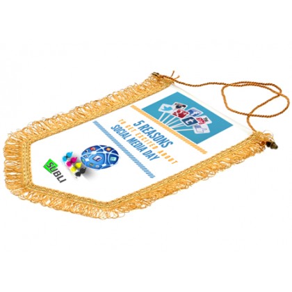 cod. 26.251 - Gagliardetto pentagonale 26x34 f9