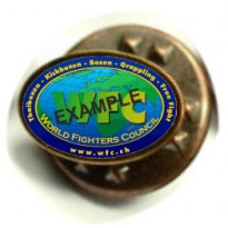 Conf. 20 distintivi neutri mm 14x10