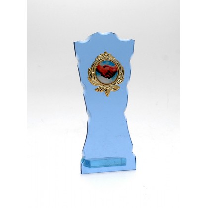 cod. P.AM04 - Trofeo Amicizia cm 15