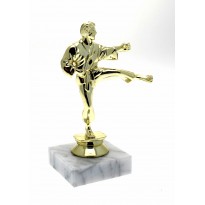 Trophy Karate cm 15