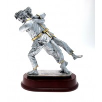 Trophy Judo cm 24