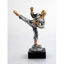 Trophy Karate cm 15,5