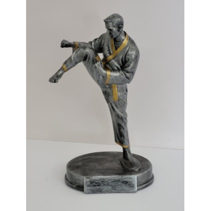 cod. P.AR04 - Trofeo Karate cm 22