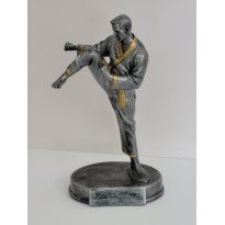 Trofeo Karate cm 22