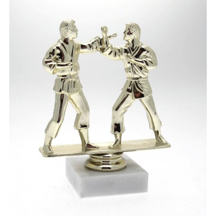 cod. P.AR06 - Trofeo Karate cm 15