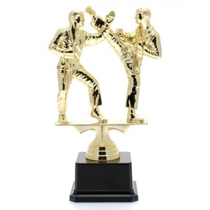 cod. P.AR09 - Trofeo Karate cm 21