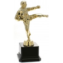 Trofeo Karate cm 20