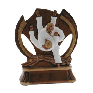 cod. P.AR11 - Trofeo Judo cm 14