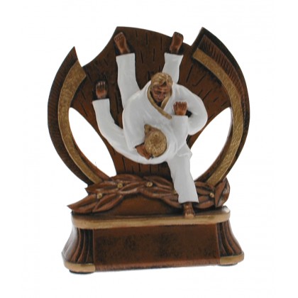 cod. P.AR11 - Trofeo Judo cm 14