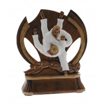 Trofeo Judo cm 14