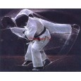 cod. P.AR12 - Cornice con Poster Judo 24x18