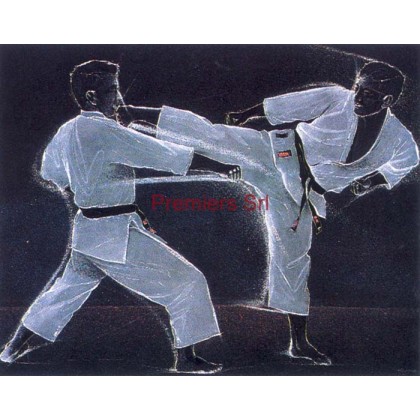 cod. P.AR13 - Cornice con Poster Karate 24x18