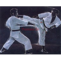 Frame with poster Karate 24x18