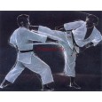 cod. P.AR13 - Cornice con Poster Karate 24x18