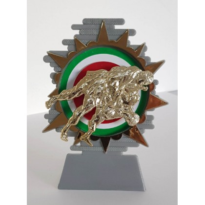 cod. P.AR15 - Trofeo Judo cm 14