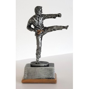 cod. P.AR17.227 - Trofeo Karate cm 14