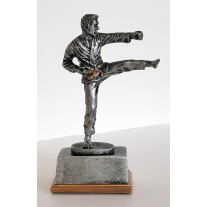 cod. P.AR17.227 - Trofeo Karate cm 14