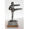 cod. P.AR17.227 - Trofeo Karate cm 14