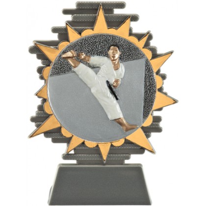 cod. P.AR25.800.21 - Trofeo karate cm 14