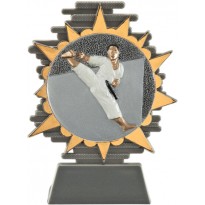 Trophy Karate cm 14
