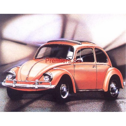 cod. P.AU13 - Cornice con Poster Maggiolino 24x18