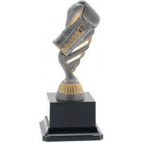 Trophy boxe boxe cm 18
