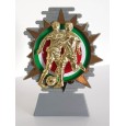 cod. P.CAL152 - Trofeo Calcio cm 14