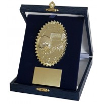 cod. P.CAL153 - Set targa calcio con astuccio cm 13x16