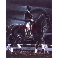 Cornice con Poster Cavallo 24x18