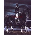 cod. P.CAV10 - Cornice con Poster Cavallo 24x18