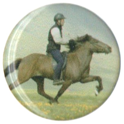 cod. P.CAV23.X.5 - Adesivo resinato mm 25 Cavallo