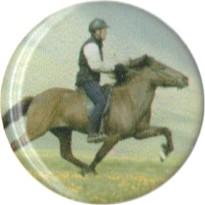 Adesivo resinato mm 25 Cavallo