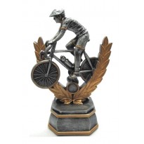 Trofeo Ciclo cm 31