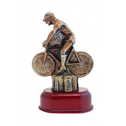 cod. P.CI09 - Trofeo Mountain bike cm 15
