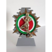 Trofeo corsa cm 14