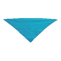 Conf. 10 foulard 100x66x50