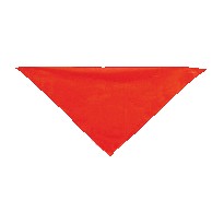 Pack 10 foulard 100x66x50