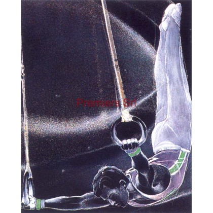 cod. P.GI11 - Cornice con Poster Ginn. Anelli 24x18