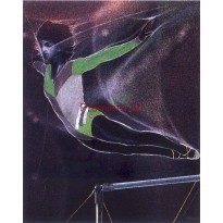 cod. P.GI12 - Cornice con Poster Parallele As. 24x18