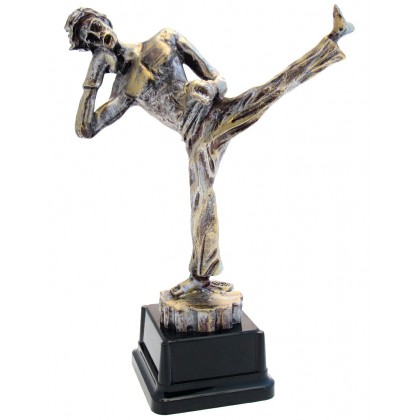 cod. P.KB01 - Trofeo Kick Boxing cm 27