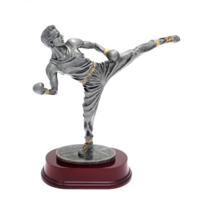 cod. P.KB02 - Trofeo Kick Boxing cm 24