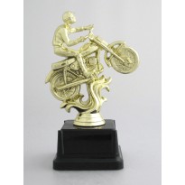 Trophy Motocross cm 20
