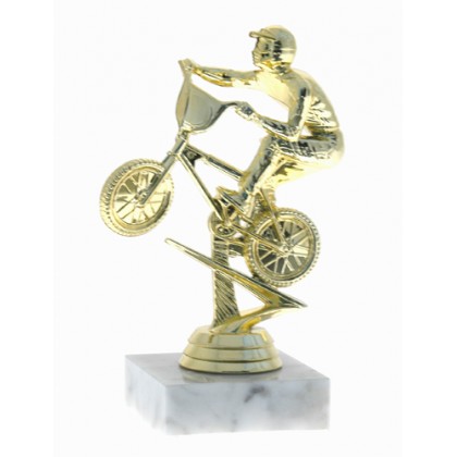 cod. P.MOTC06 - Trofeo Motocross cm 14